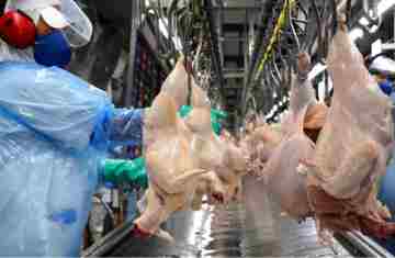  Perto do bilhão: vendas de empresas do Paraná para outros estados crescem 211% em sete anos 